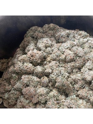 Cotton Candy $100oz *SPECIAL*